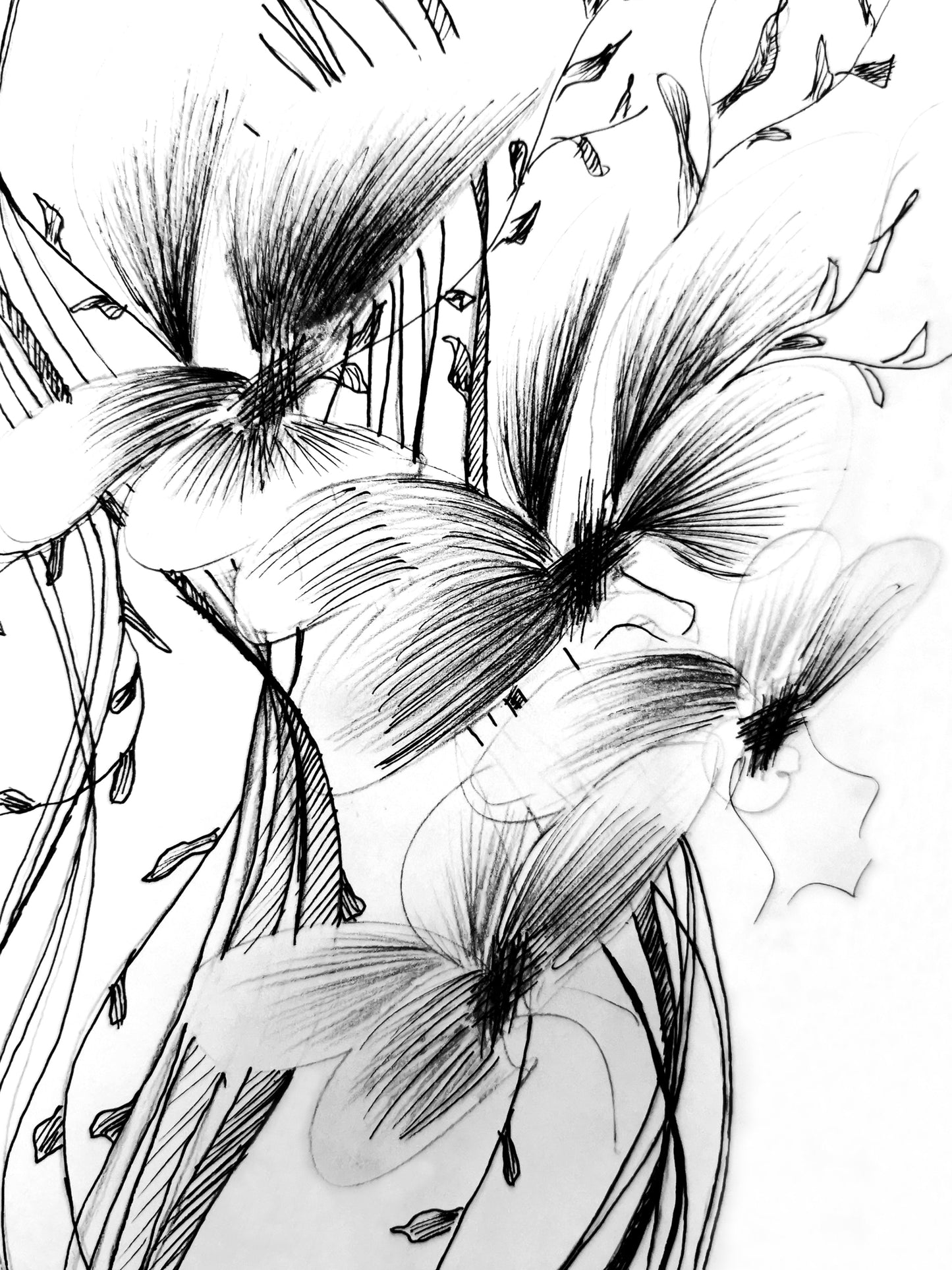 FRAGMENTS OF BECOMING II